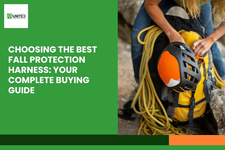 The Ultimate Buying Guide For Fall Protection Harness